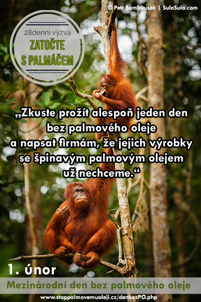 1. únor - Mezinárodní den bez palmového oleje
